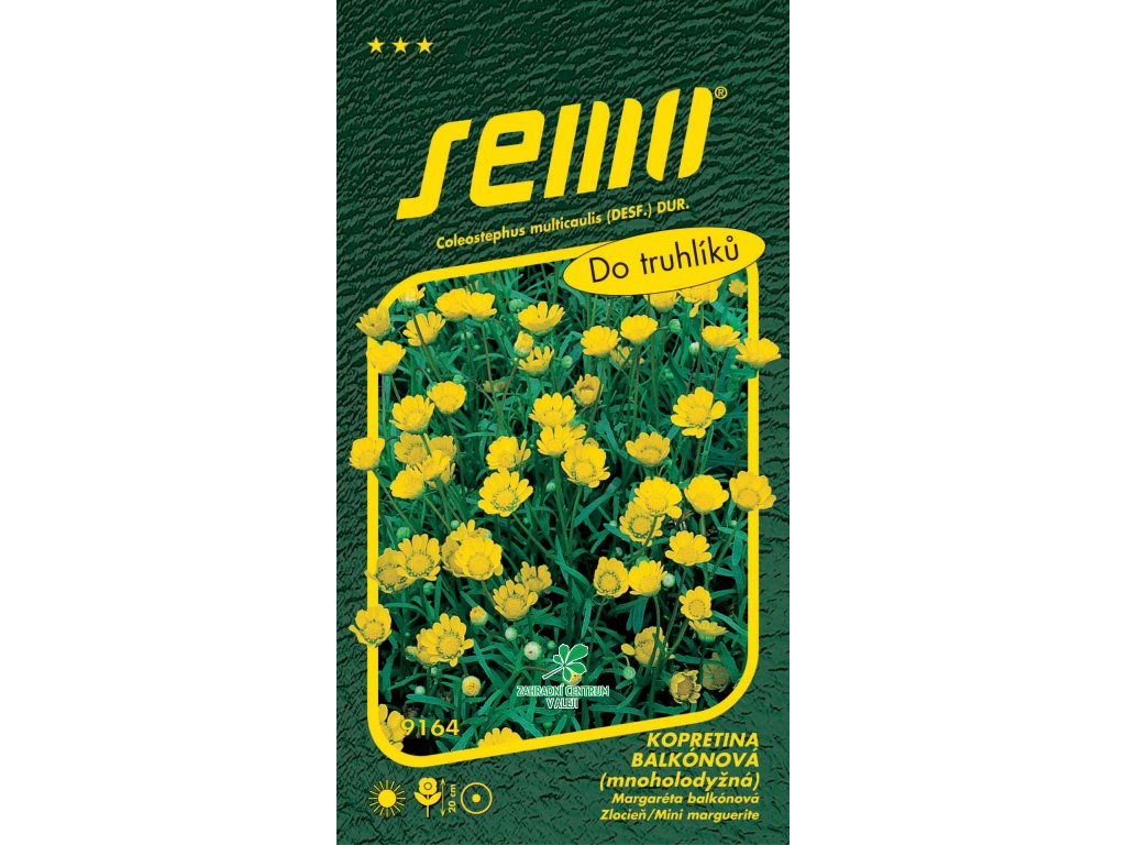 17f07aab 5b2c 469a a509 a5856a138800