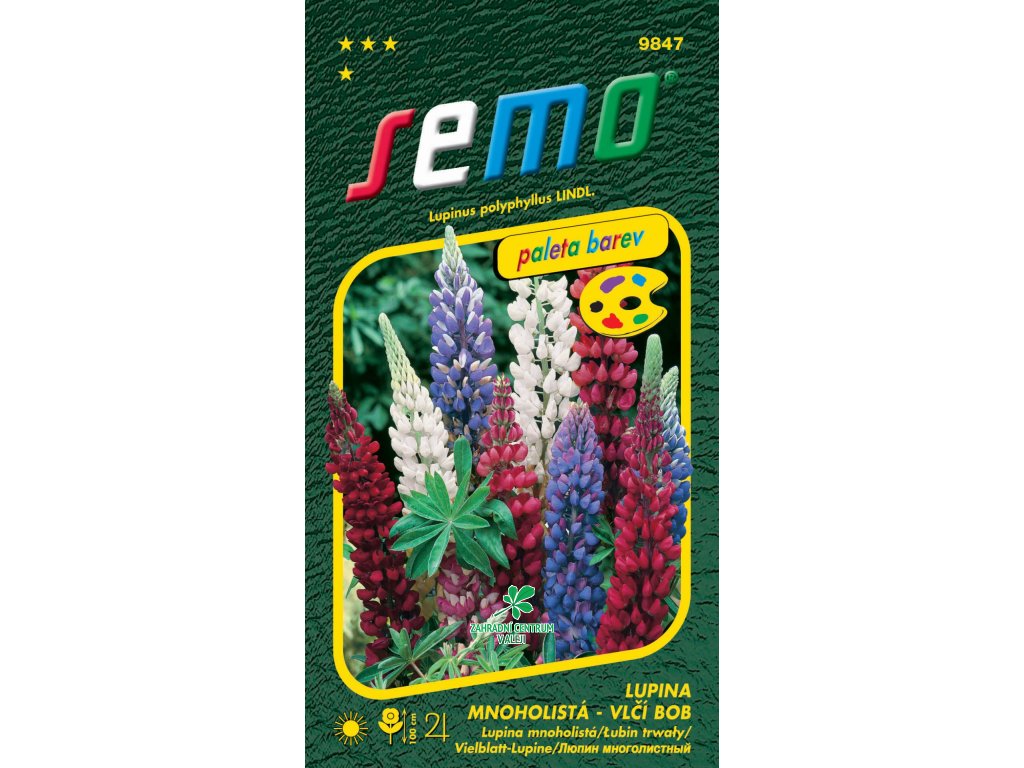 ffc917d6 1d9b 465b bcc9 394249016c72