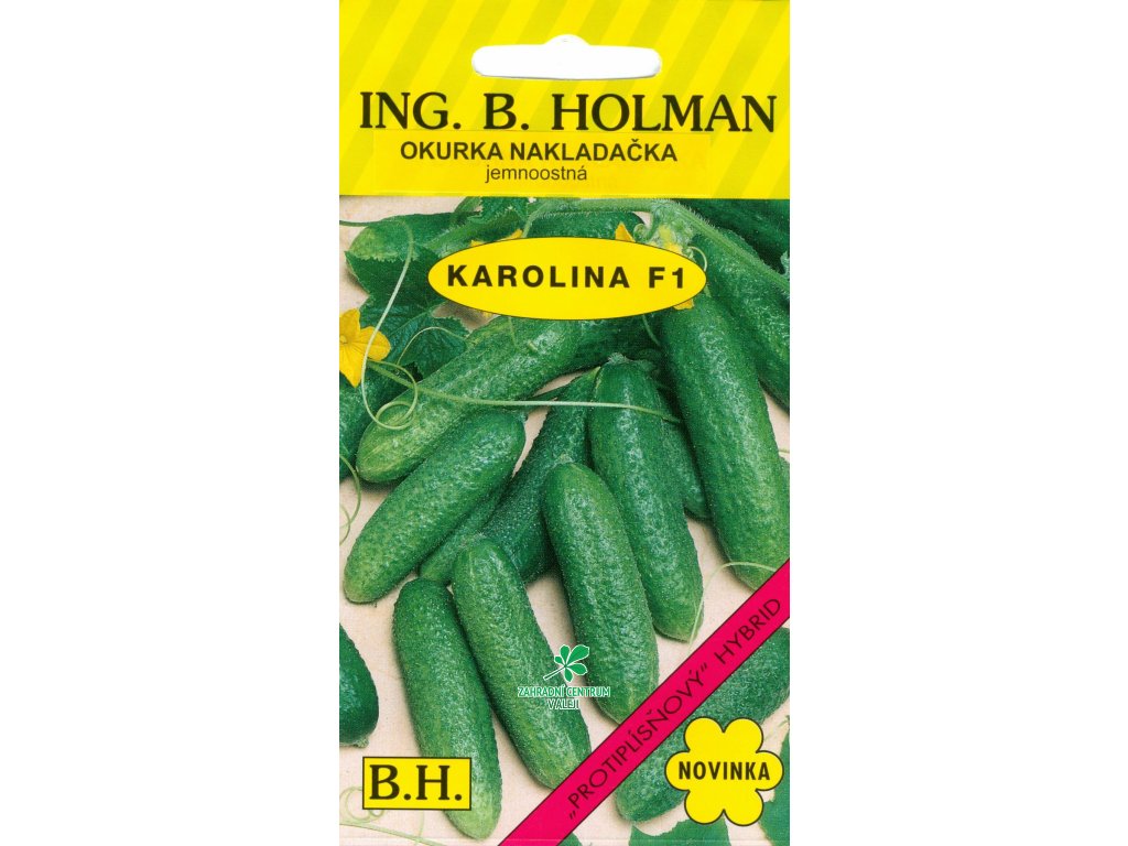 beeb6cae 4685 4f78 9cb3 6294b2f997fc