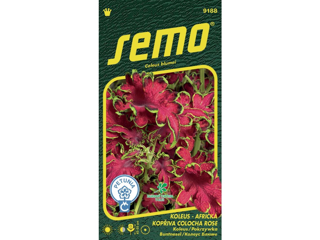 0b3303db 2557 4f47 850d 0ef68a4c9cca