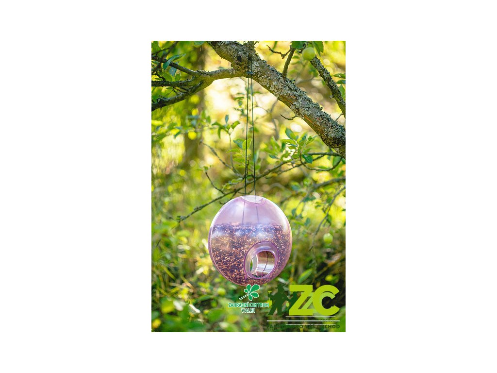 dd93c952 882a 4c2e 8582 01f1f691522f