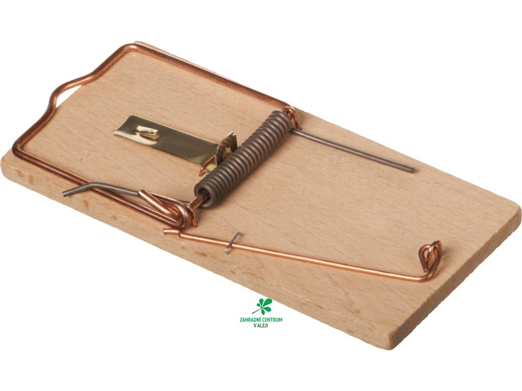 9b06defc f6fd 4927 ba23 ce09b08bba6b