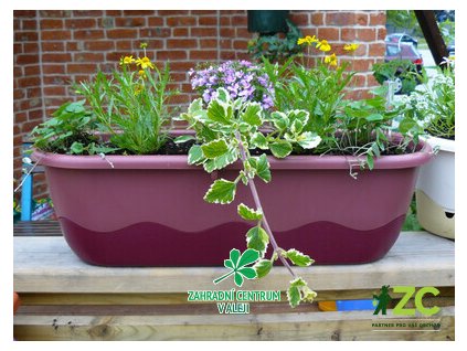 0075f1d0 d99f 46b8 a0d9 7c255239db7b