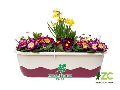 6c6bf004 85d5 4dc8 b53e e40428a55002