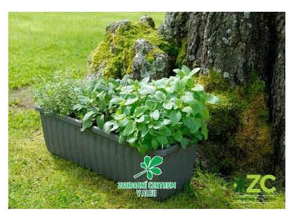 483a66fd b0f4 4e28 bca0 459cde9fa2d2