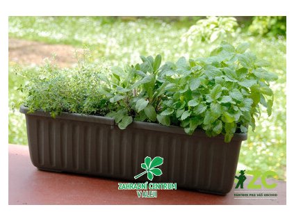 752a11d6 9812 40c4 b71c d769184d6b64