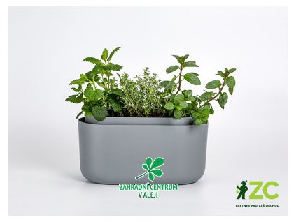 42fbbbcd db3e 440f 8252 86fd55c56fe4