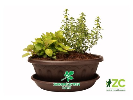 bd65ea12 5c36 4577 909d d737a7f3bcac