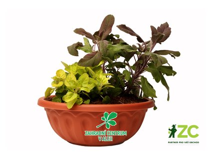 9d941158 18ed 4e0e 97cb 06b519a3a34c