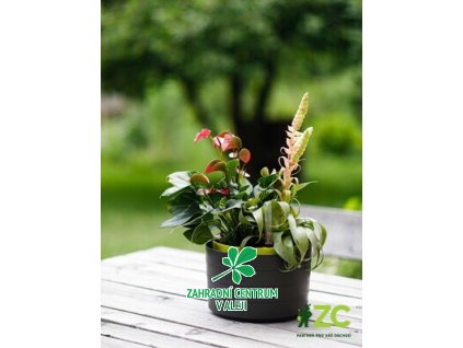 a51f42e5 5189 4aa4 ac27 6481a36ae745