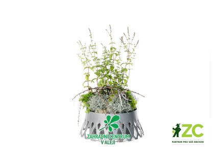 e8cf3af7 e3e8 4254 9c50 4d0357f02ea8