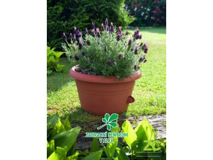 0af00df7 c431 444a 9042 44feb09b18af