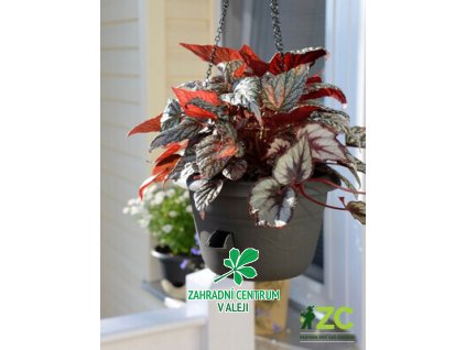 6a4945ec 5023 450d 884b 901077daeb13