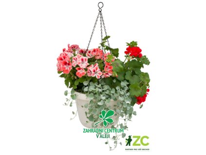 ad0c8eff 091f 448e bf3b 60d751aee1f3