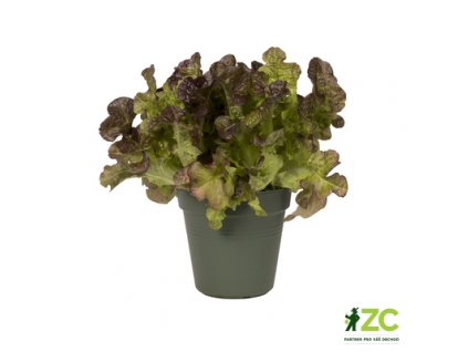 Květináč Green Basics - leaf green 24 cm