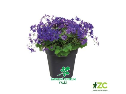 73f2a01c fe38 4a2c b8d4 8319295ea7f9