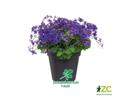 5cca4e00 36ec 4e86 bc1c 53c7398a4a84