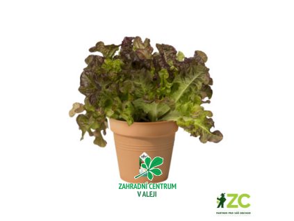 cfca88ea bb74 4d7a 8d62 403bd344fdc5