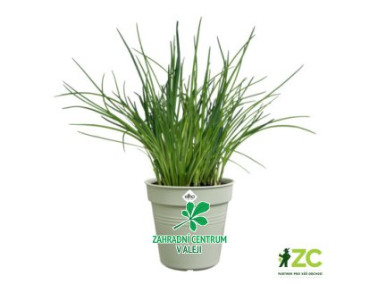 c1cf78db 19f5 4461 88c5 a48aec38bb4c