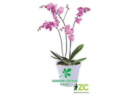 a2d5c327 c508 458b 8f00 07e27a28f26a