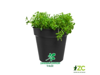 1af9c782 3184 4ada b532 3073ca0334b5