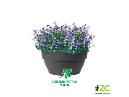 8bc4e800 bcc6 49a4 9d44 9097a5635358