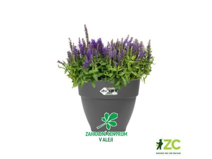 1108cb8f 110a 4648 ba8a b0c5dc06a67a