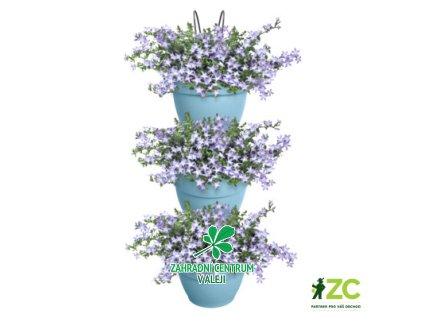 772c5fb5 05b5 44b5 874b 62e81c2cc199