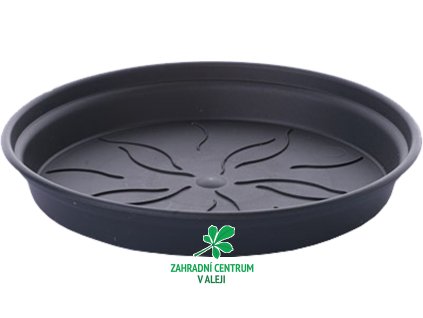 a1e121eb d94a 44d6 b71c 459c12864728