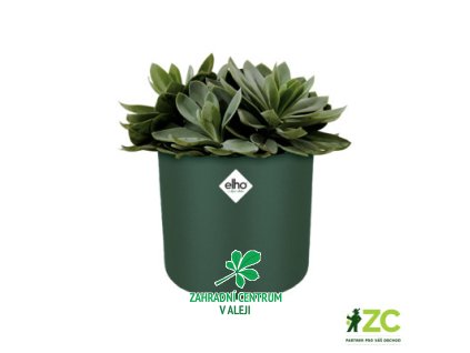 e5583540 676d 4085 99c1 e374af41e6bf