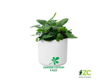 84a90204 85d1 4222 ac15 f2d21264ee79