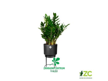 b4b30c97 fece 41da 9516 a1d5eb01d332