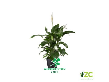 1aeb8a34 4063 4681 917d 1ee247b6a05b