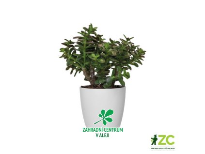 29cd503d 275a 47d8 82eb 22c7daf2df22