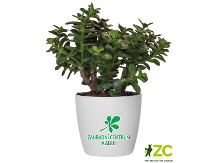 ddc94066 f7dc 42fa 939c 16395ce19f29