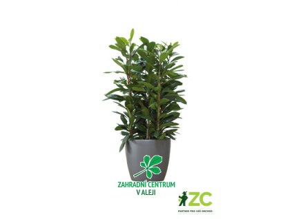 e0a04674 84bc 4806 b203 0db881380c37