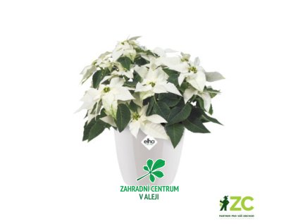 1b2179b7 0c39 4cdf 988e 45834098e1d3