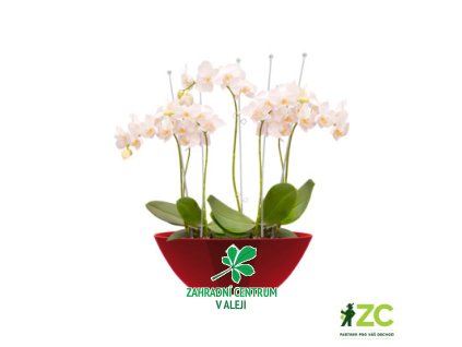 37081da9 ea11 4de0 8fc8 b8b6ee8e191b