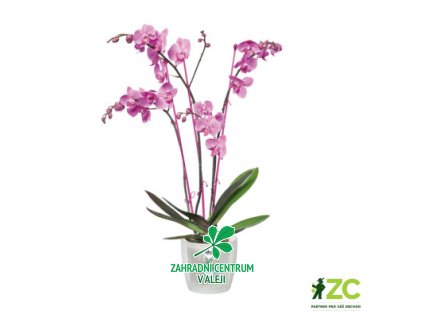 5d3d3fbf a2ac 48fd 9a9b 2162919de530