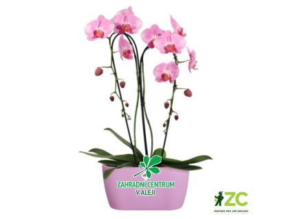 0a8bc307 dc77 41be b334 0fc52e4affa1