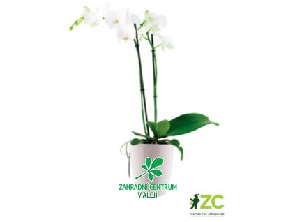 3d8790f0 9d50 4d8d 9c3e e21165038de8