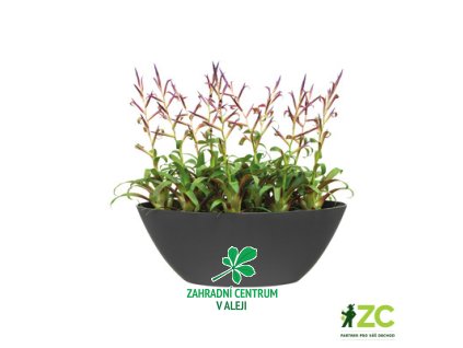 fefe8bae 50dc 44e0 985b 49ada2e05efa