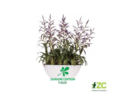 d3ede7f7 483e 4b46 8623 735077b2b63b