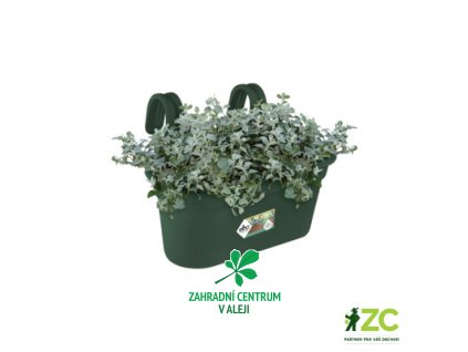 43f0471a 61bc 43e6 9df4 fd9d99e4f44a