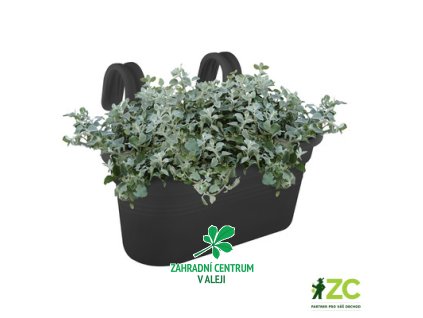 07240cb6 566e 4c1f b941 0e6d1dbbed20