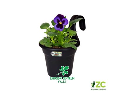 4129e500 eb34 4a9d a4dd 7d834fe1eceb