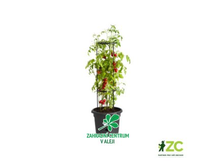 988a4cef 12ea 4e95 95c6 b04437899162