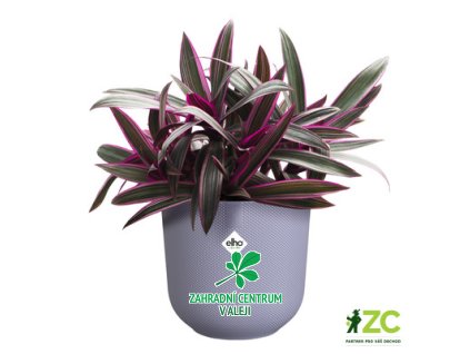 6a97de2a 8f8b 4980 b732 a83a5bb0910a