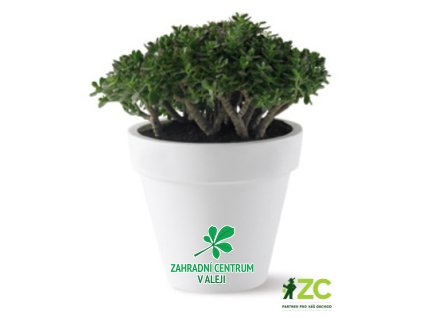 5c4329dc 0fa8 4e6d b045 d49ade45304b