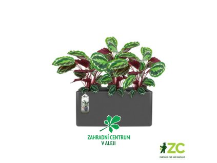 65e98360 baa7 4cf7 a01e 8210c6c2b339